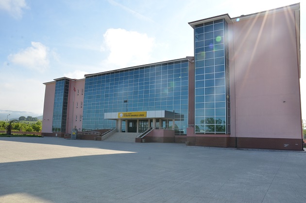 Anadolu Lisesi