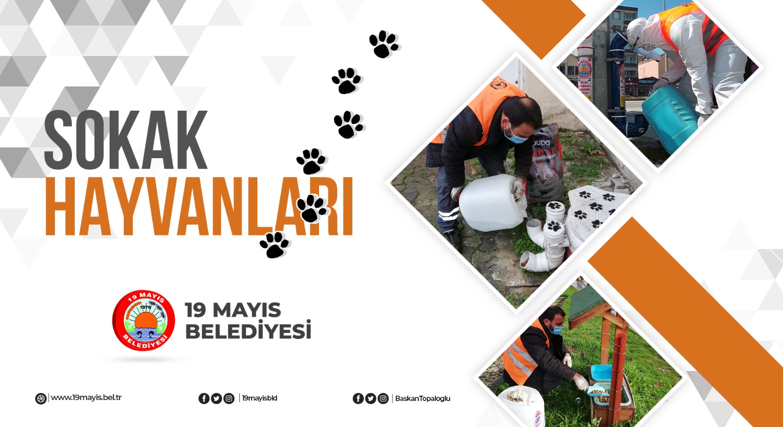 Sokak Hayvanları